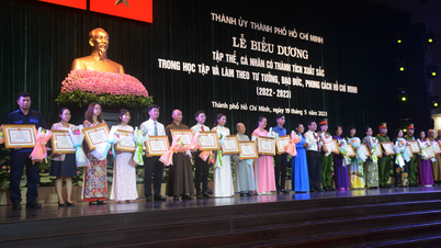 TP Hồ Chí Minh biểu dương 118 tập thể, 184 cá nhân điển hình
