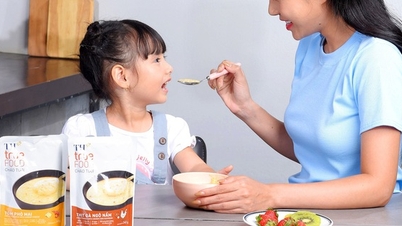TH Group bringt die frische Porridge-Produktlinie TH true FOOD auf den Markt