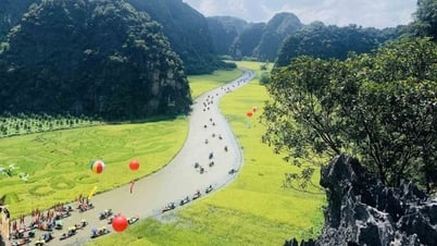 Tam Cốc - Bích Động vào mùa lúa mới