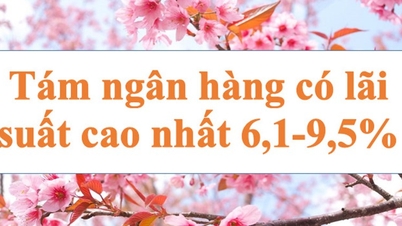 Lãi suất ngân hàng hôm nay 15.8: Tám ngân hàng 6,1-9,5%