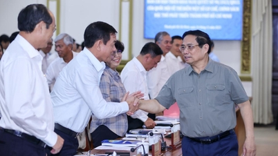 Kết luận của Thủ tướng chủ trì hội nghị về triển khai cơ chế đặc thù phát triển TP.HCM