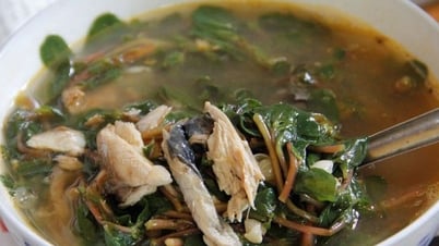 Loại rau dại kéo dài tuổi thọ, ăn nhiều giúp giải độc, cải thiện đường huyết và thị lực tốt
