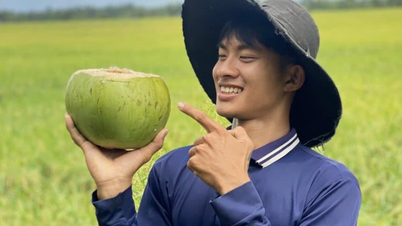 តើ TikToker Le Tuan Khang ជានរណា ដែលបណ្ដាញសង្គមកំពុងស្វែងរក?