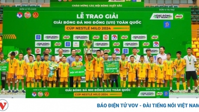 SLNA U11チームが年齢詐称の疑いで懲戒処分を受けることに関する新たな動き