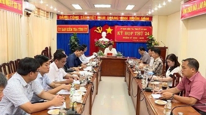 Đề nghị kiểm điểm Ban cán sự Đảng UBND tỉnh liên quan vụ AIC