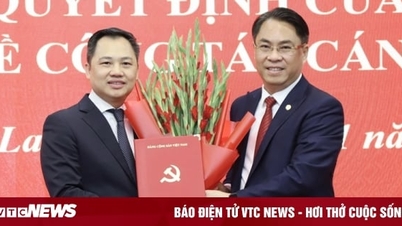 The Secretariat appointed Mr. Nguyen Dinh Viet to hold the position of Deputy Secretary of the Son La Provincial Party Committee.