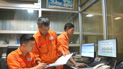 Kết luận Thanh tra EVN nêu thế nào về lý do thiếu điện?