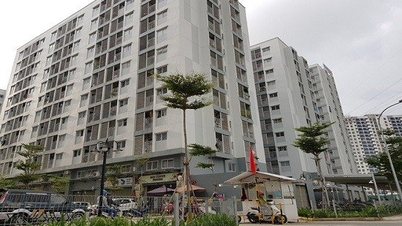 Bà Rịa -Vũng Tàu đặt mục tiêu xây hơn 12.000 căn nhà ở xã hội thế nào?