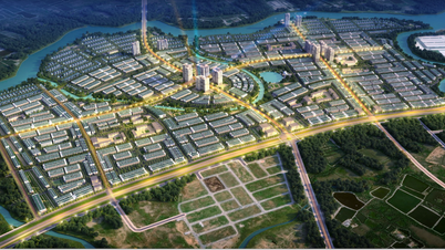 T&T CITY MILLENNIA