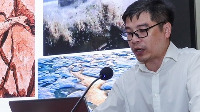 Ô nhiễm môi trường sống đang “gặm nhấm” sức khỏe con người