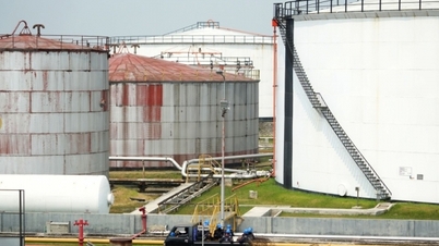 Giá xăng dầu hôm nay 14/11: Tăng hơn 1%