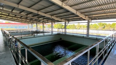 Gói thầu mới ở nhà máy nước Cầu Đỏ đã có chủ