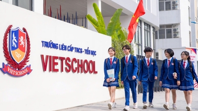 បរិយាកាសសិក្សាសេរីនៅសាលា Vietschool