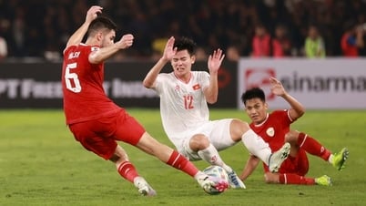 Audiences are eager for Vietnam to win, hoping Coach Troussier will restore their faith!