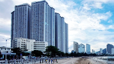 De nombreux propriétaires de projets d'appartements touristiques à Khanh Hoa ne déclarent pas et ne paient pas d'impôts