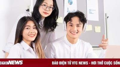 Nữ giới học ngành nghề nào dễ xin việc làm nhất?