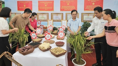 OCOP products are displayed at the exhibition celebrating the establishment of Dong Hoi City in Quang Binh province.