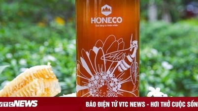 'Đạp Sóng Hóa Rồng 2024"