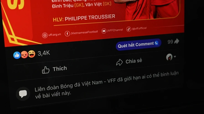 VFF បិទ​ការ​បញ្ចេញ​មតិ​នៅ​លើ Facebook