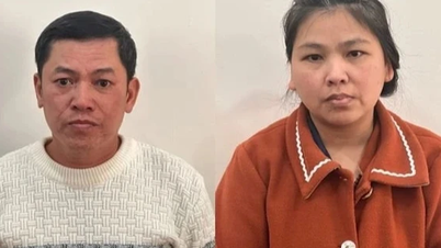 Đôi vợ chồng làm giả sổ đỏ lừa đảo 19,7 tỉ đồng sa lưới