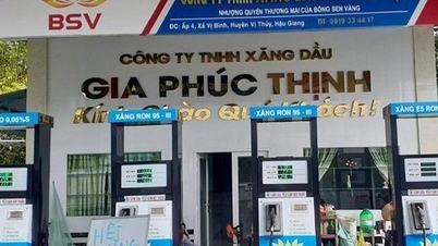 Doanh nghiệp xăng dầu liên tiếp bị ngân hàng siết nợ