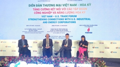 Handelsforum Vietnam – USA: Stärkung der Konnektivität in Industrie und Energie