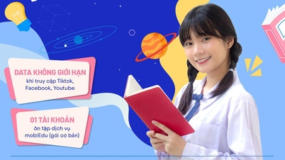 Data is smooth, learn English extremely fast with long-term packages