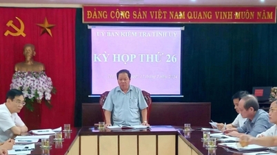 Disciplinary action against the President of the Women's Union of Hai Duong province