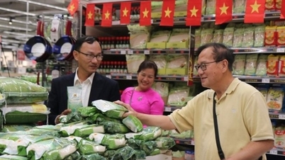 "Đường cao tốc" để nông sản Việt chinh phục thị trường EU