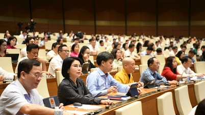 Hà Nội được thí điểm thành lập quỹ đầu tư mạo hiểm sử dụng ngân sách nhà nước