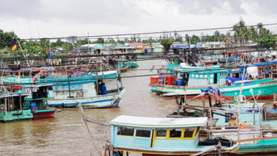 Cà Mau siết chặt quản lý tàu cá "ba không"