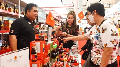 Bài 3: Muốn vượt “rào cản xanh”, cần sự đồng hành của các Bộ, ngành