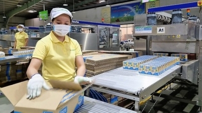 ផ្លូវ Quang Ngai ចេញ ESOP នៅតម្លៃពាក់កណ្តាលទីផ្សារ