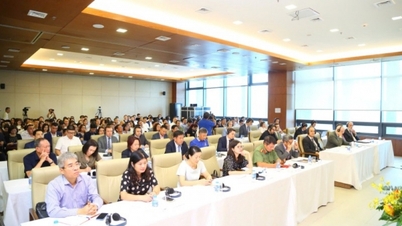 Promoting Vietnam - Europe labor cooperation