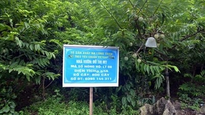 ពង្រឹងការគ្រប់គ្រងកូដតំបន់ដែលកំពុងលូតលាស់ និងកន្លែងវេចខ្ចប់សម្រាប់ការនាំចេញផលិតផលកសិកម្ម