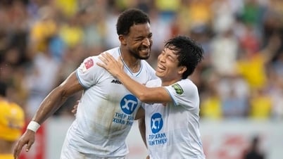 Südostasiatische Fans reagieren auf die Einbürgerung vietnamesischer Spieler
