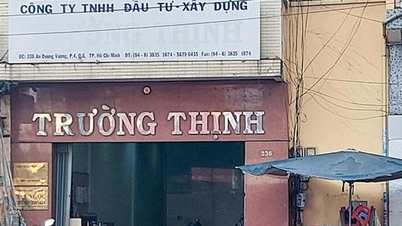 Chủ đầu tư chây ì, “treo” dự án hơn 20 năm