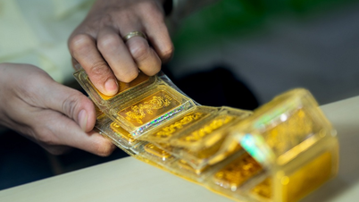国内の金価格は全面的に下落し、1タエル当たり6,700万ドンを下回った。