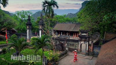 Tierras patrimoniales de Ninh Binh
