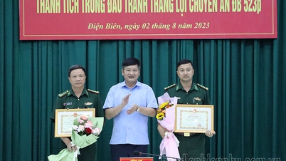 គណៈកម្មាធិការប្រជាជនខេត្តផ្តល់រង្វាន់ដល់ក្រុមការងារគម្រោង DB523p