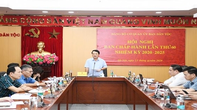 Hội nghị Ban Chấp hành Đảng bộ cơ quan Ủy ban Dân tộc lần thứ 60, nhiệm kỳ 2020-2025