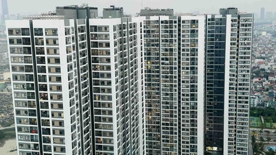 Thị trường bất động sản đang có lợi cho người đầu cơ