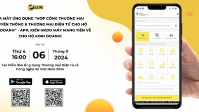 Платформа интеграции традиционной и электронной коммерции: решение HKDO для вьетнамских деловых домохозяйств