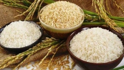 ហេតុអ្វីបានជារុស្ស៊ីពន្យាពេលការហាមឃាត់ការនាំចេញអង្កររហូតដល់ថ្ងៃទី ៣១ ខែធ្នូ ឆ្នាំ ២០២៣?