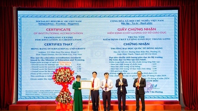 សាកលវិទ្យាល័យអន្តរជាតិ Hong Bang បំពេញតាមស្តង់ដារនៃវដ្តទីពីរនៃការវាយតម្លៃគុណភាពអប់រំមូលដ្ឋាន (2019-2024)