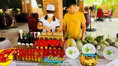 Tiếp tục phát triển và nâng cao hiệu quả kinh tế tập thể