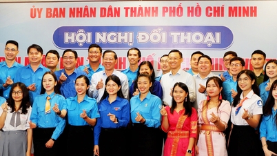 ការផ្លាស់ប្តូរឌីជីថល និងការចាប់ផ្តើមអាជីវកម្មប្រកបដោយភាពច្នៃប្រឌិត៖ ត្រូវការអ្នកត្រួសត្រាយវ័យក្មេង