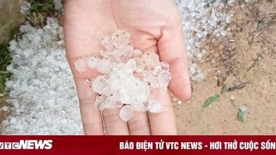 Hail បានបង្ហាញខ្លួននៅ Lai Chau