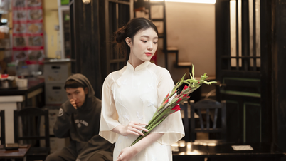 Thiếu nữ chịu rét diện áo dài chụp ảnh Tết trên phố Hà Nội
