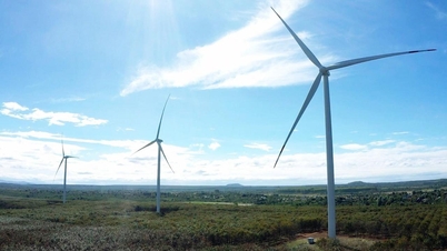 JEPT and the opportunity to attract foreign capital for Vietnam's climate goals